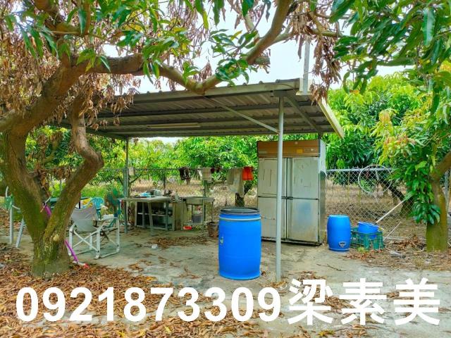 玉井農地-10
