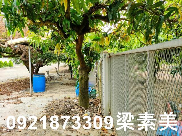 玉井農地-2