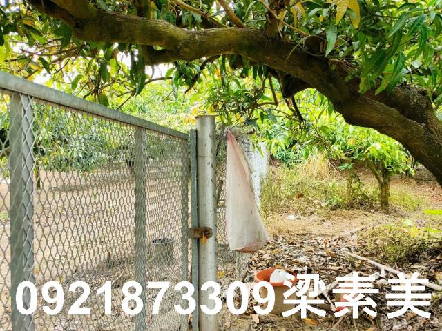 玉井農地-7
