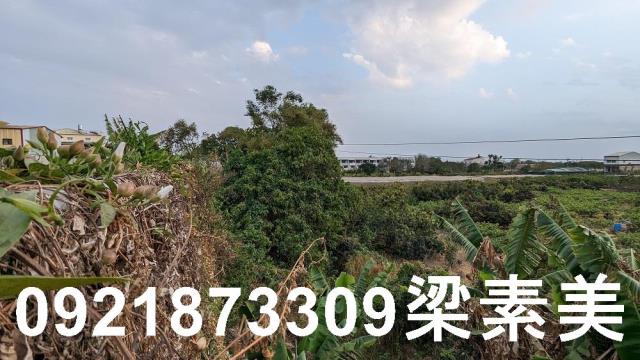 大內建地-12