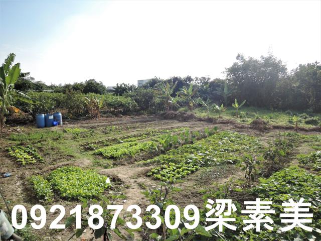 大內建地-1