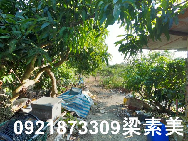 大內建地-3