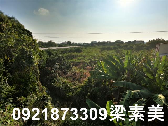 大內建地-5