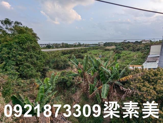 大內建地-7