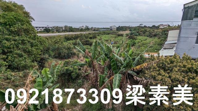 大內建地-8