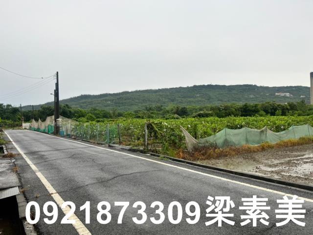 高雄農地-1