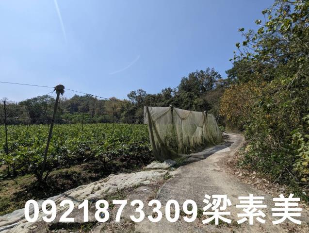 台南玉井農地-9