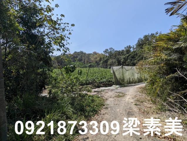 台南玉井農地-10