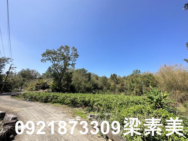 台南玉井農地-12
