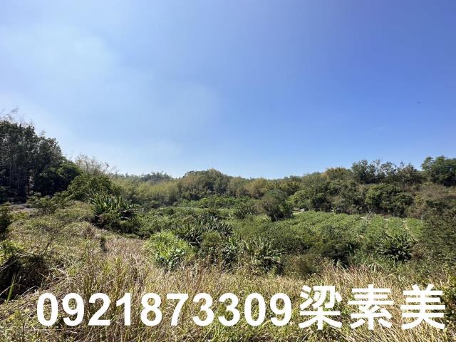 台南玉井農地-2