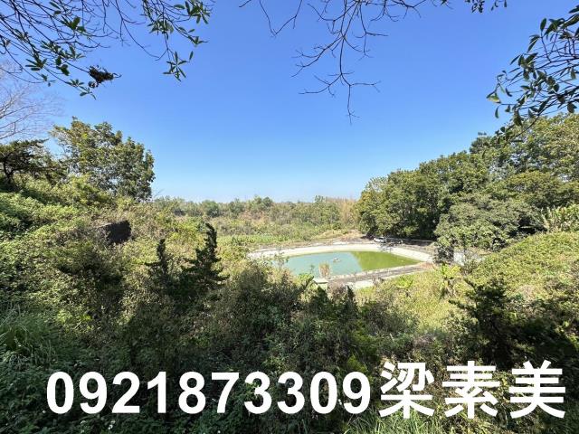 台南玉井農地-3