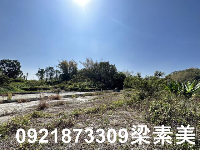 台南玉井農地-4