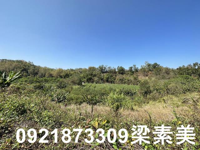 台南玉井農地-7