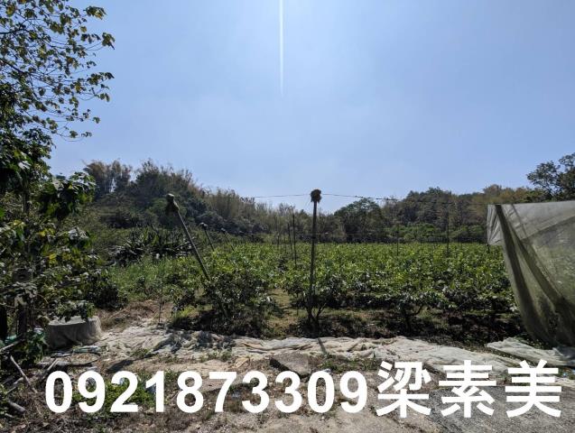 台南玉井農地-8