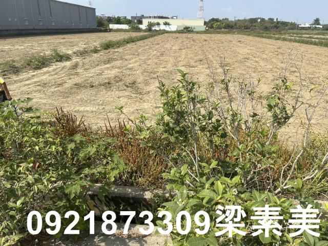 台南新化農地-6