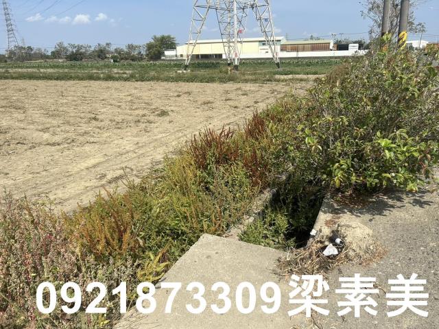 台南新化農地-8