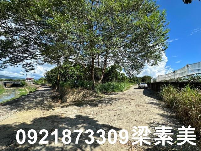 玉井農地-0