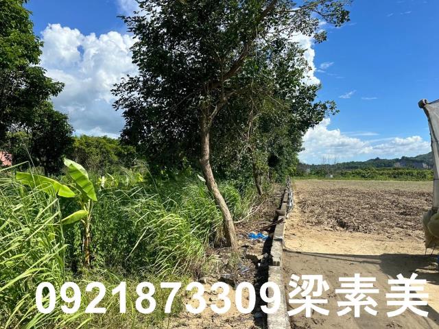 玉井農地-1