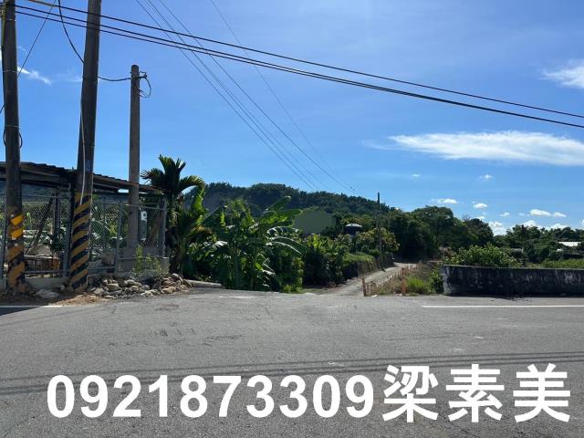 玉井農地-7