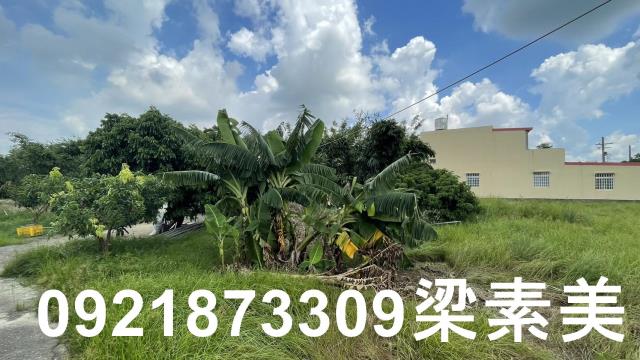 關廟農地-3