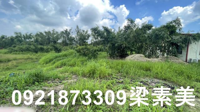 關廟農地-5