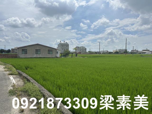 台南農地-10