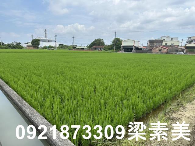 台南農地-11