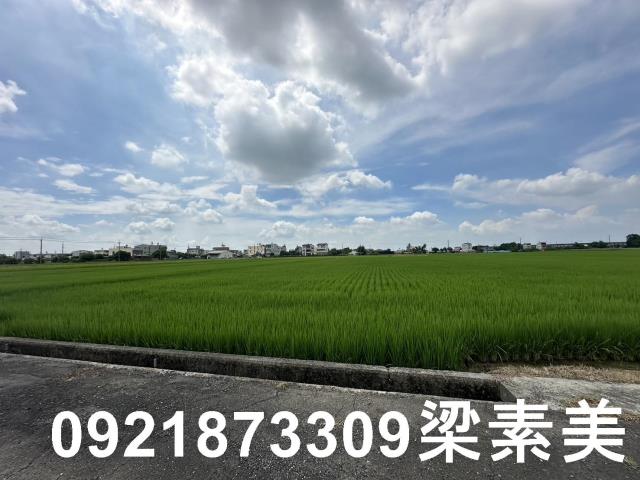 台南農地-12