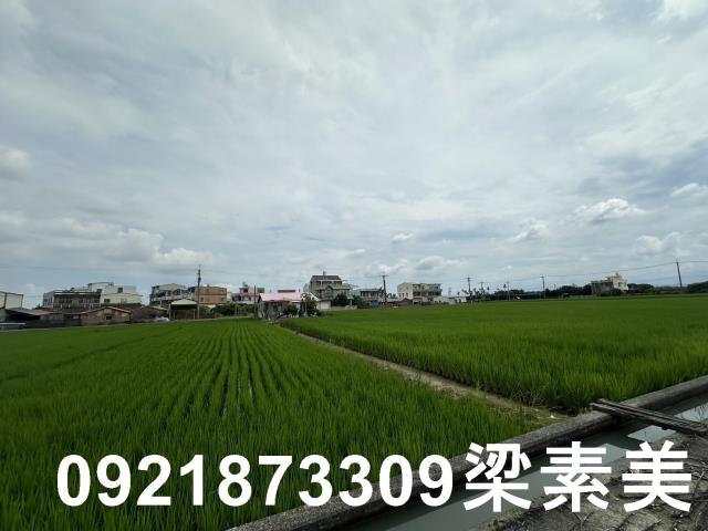 台南農地-13