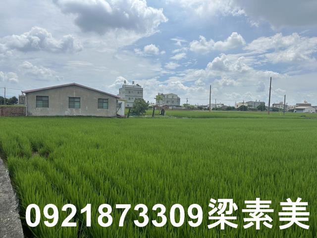 台南農地-7