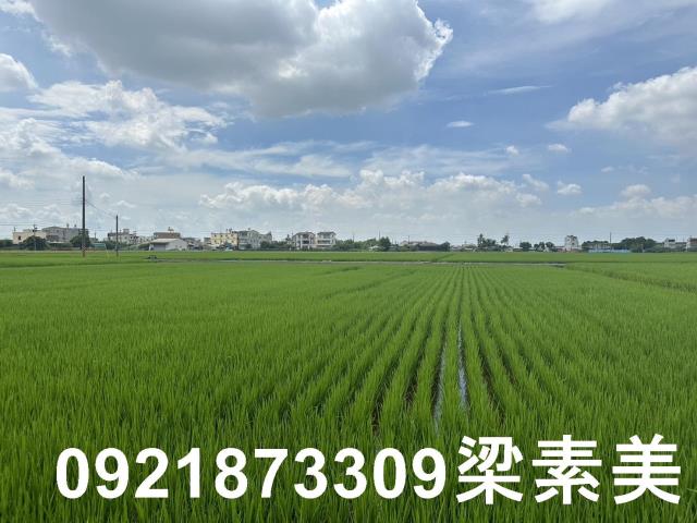 台南農地-8