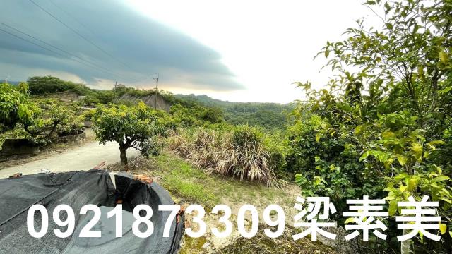 玉井農地-9