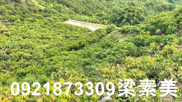 玉井農地-0