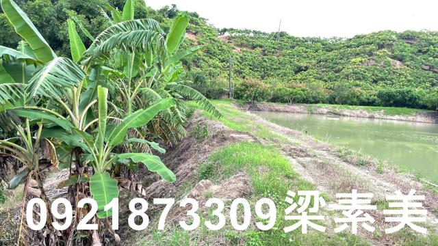玉井農地-1