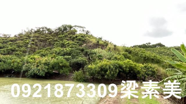 玉井農地-3