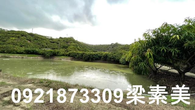 玉井農地-5