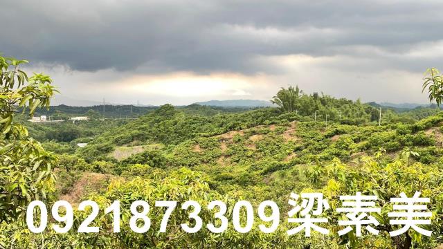 玉井農地-6