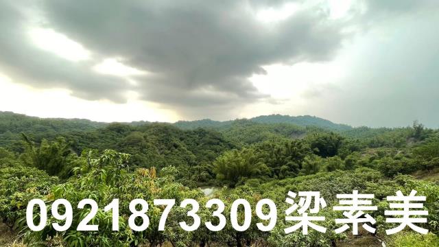 玉井農地-7