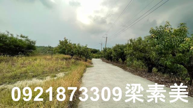 玉井農地-8