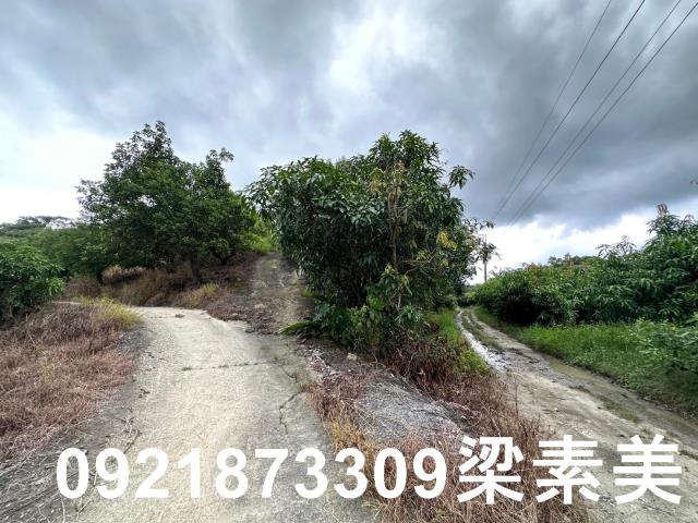 玉井農地-10