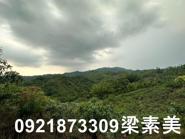 玉井農地-11