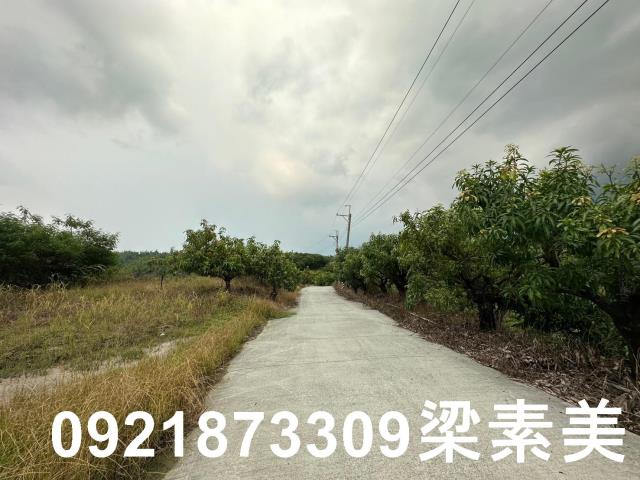 玉井農地-12