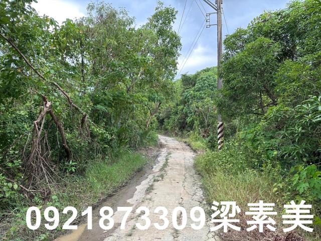 玉井農地-13