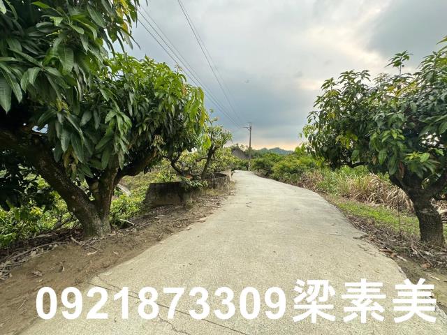 玉井農地-14