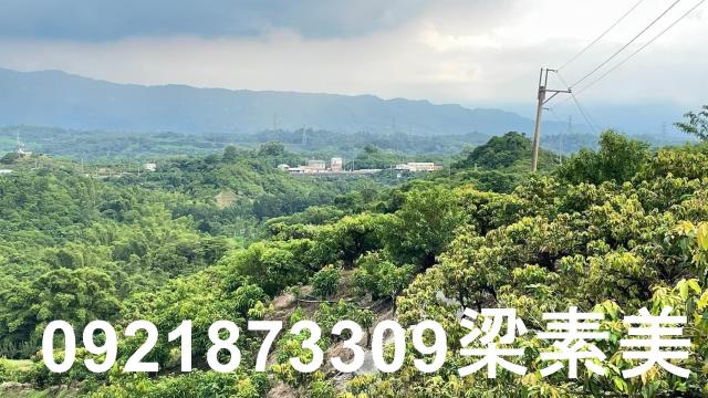 玉井農地-3