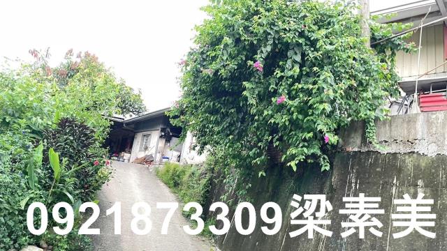 玉井農地-4
