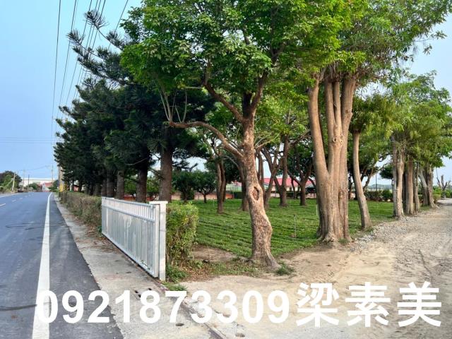 台南農地-5