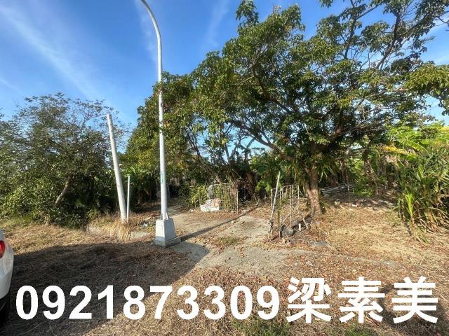 台南農地-9