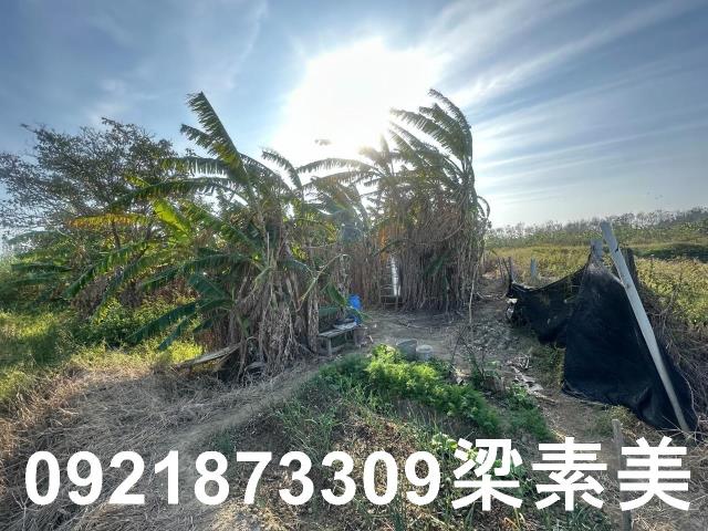 台南農地-11