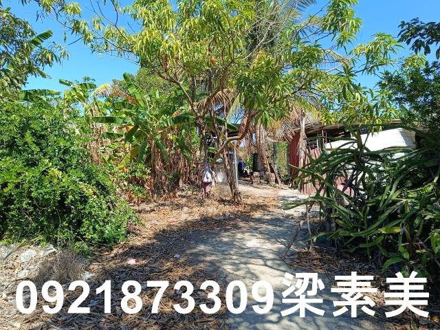 台南農地-1